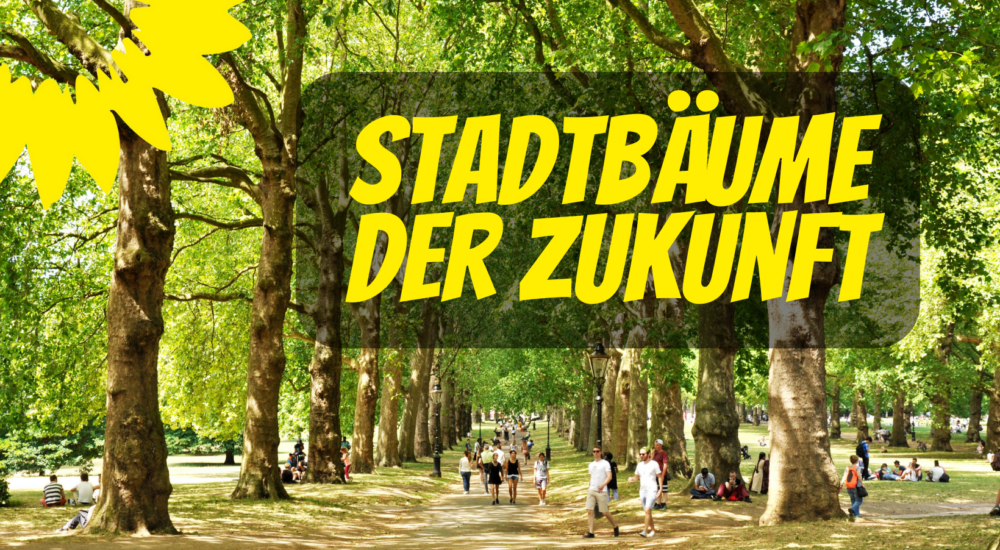 NABU Stadtbäume Homepage