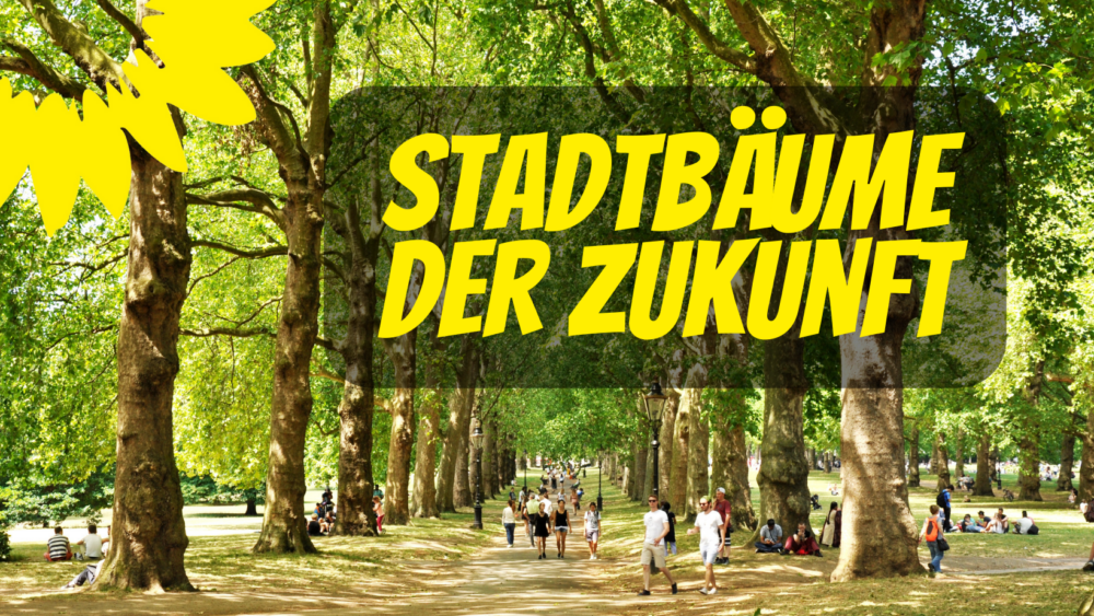 NABU Stadtbäume Homepage
